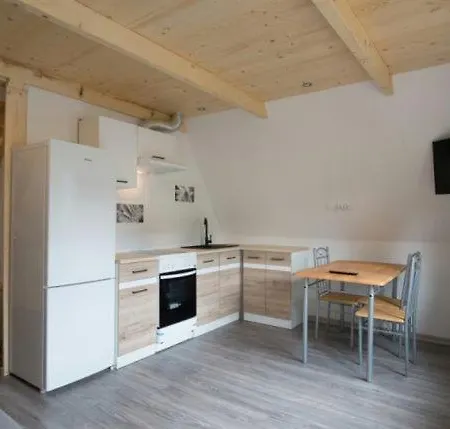 Apartament 6 Osobowy Zakopane